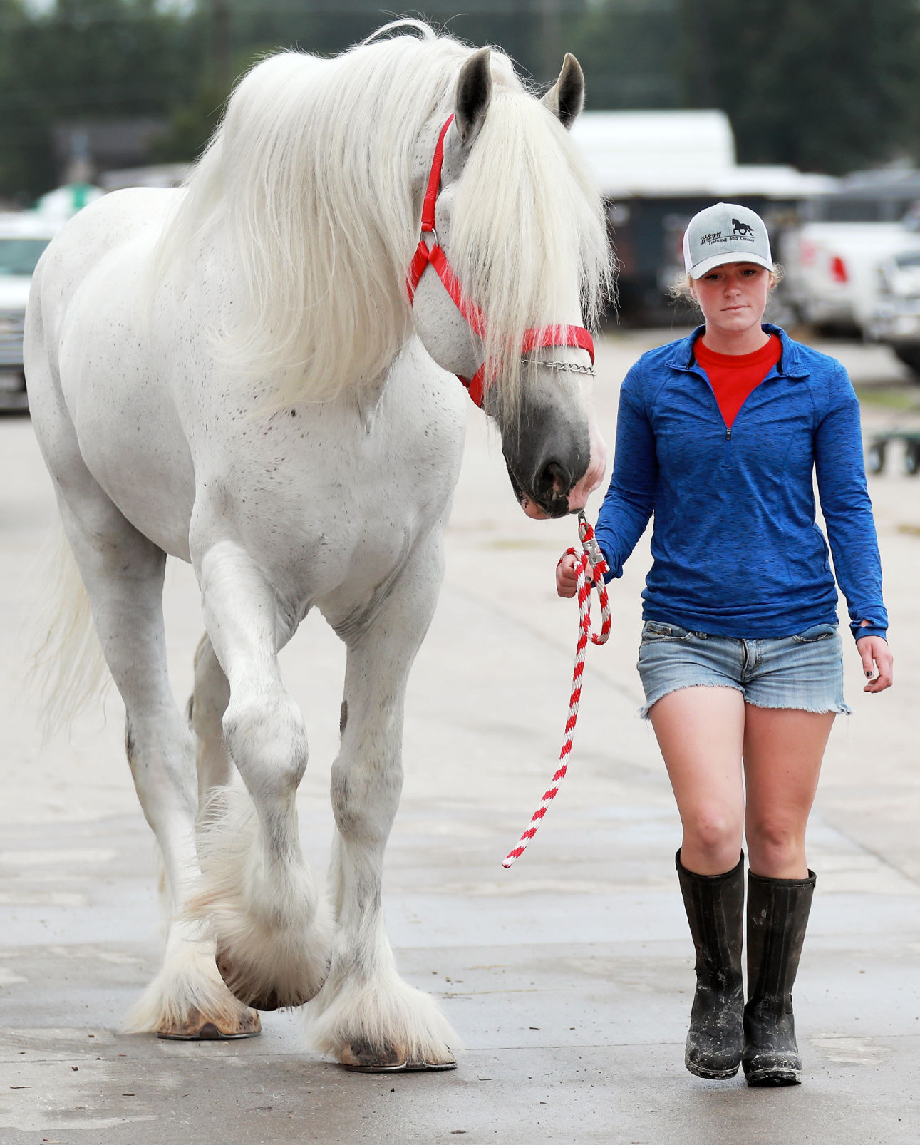 082419_StateFair021_bjs.JPG